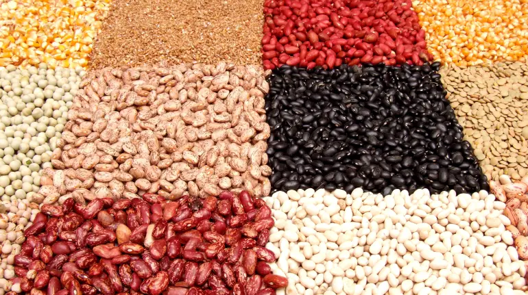 Biotin-Rich Foods -
Legumes